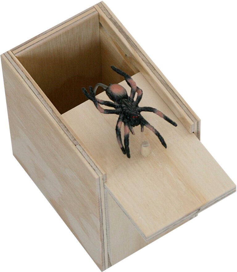 Amish Surprise Box - Spider