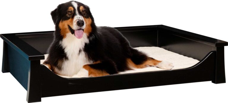 Springville Style Quick Ship Large Pet Lounge with Pad