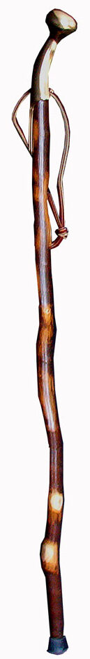 Cane with Brass Top